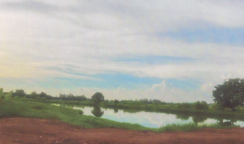 รูปที่ดินว่างเปล่า ดอนยอ เมืองนครนายก นครนายก