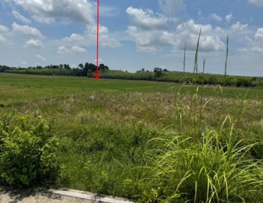 รูปที่ดินว่างเปล่า ท่าม่วง เทพา สงขลา