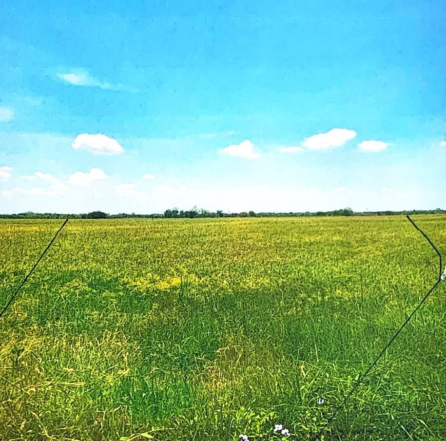 รูปที่ดินว่างเปล่า บ้านโพธิ์ เมืองนครราชสีมา นครราชสีมา