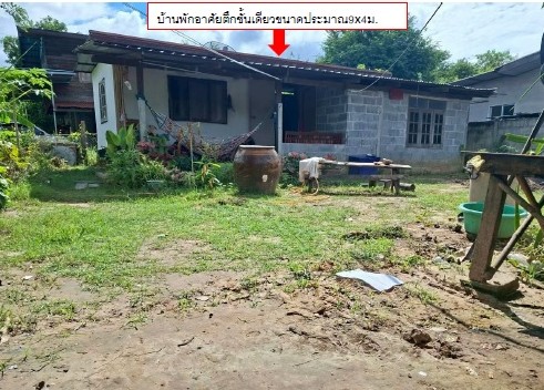 รูปที่ดินพร้อมสิ่งปลูกสร้าง ดอนมนต์ สตึก บุรีรัมย์