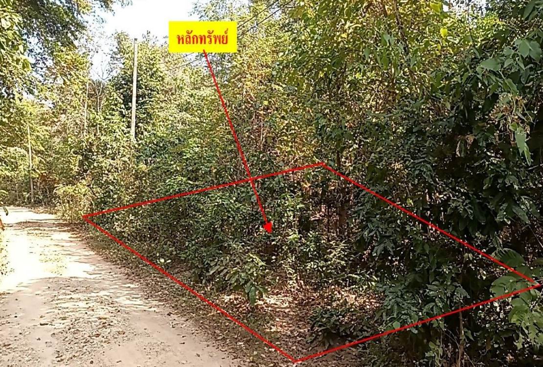 รูปที่ดินว่างเปล่า น้ำรึม เมืองตาก ตาก