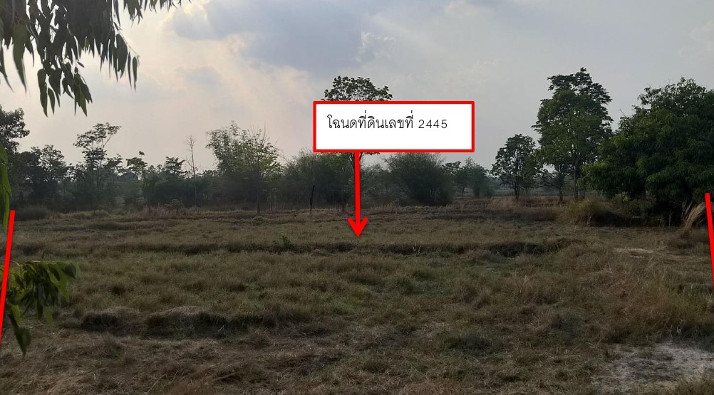 รูปที่ดินว่างเปล่า หนองกุง โนนคูณ ศรีสะเกษ