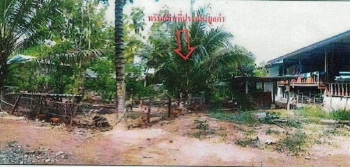 รูปที่ดินพร้อมสิ่งปลูกสร้าง ขามสมบูรณ์ คง นครราชสีมา