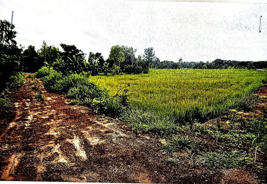 รูปที่ดินว่างเปล่า บ้านแดง พิบูลย์รักษ์ อุดรธานี