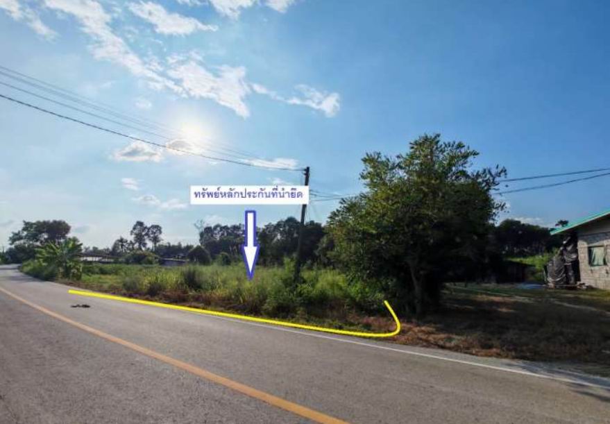 รูปที่ดินว่างเปล่า วังไทร คลองขลุง กำแพงเพชร