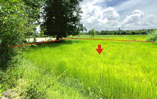 รูปที่ดินว่างเปล่า บุ่งแก้ว โนนสะอาด อุดรธานี