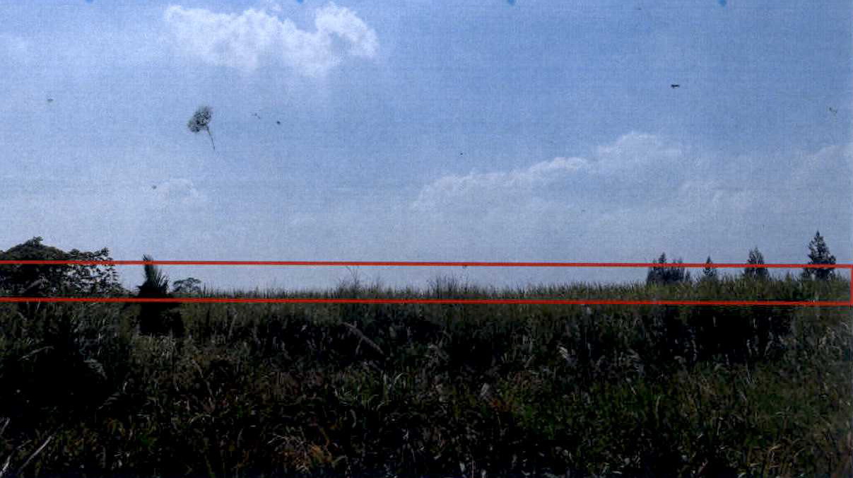 รูปที่ดินว่างเปล่า เขากระปุก ท่ายาง เพชรบุรี