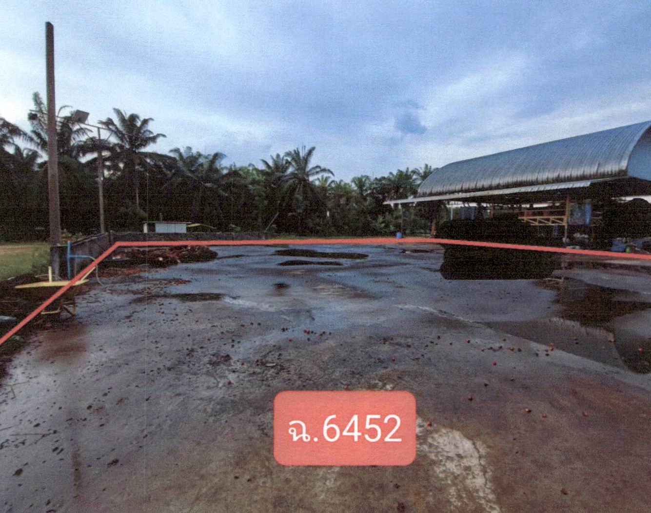 รูปที่ดินพร้อมสิ่งปลูกสร้าง เขาพนม เขาพนม กระบี่