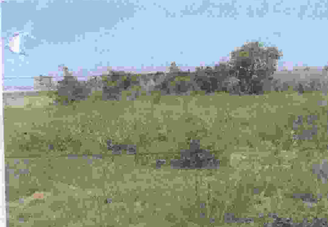 รูปที่ดินว่างเปล่า หนองบุนนาก หนองบุญมาก นครราชสีมา