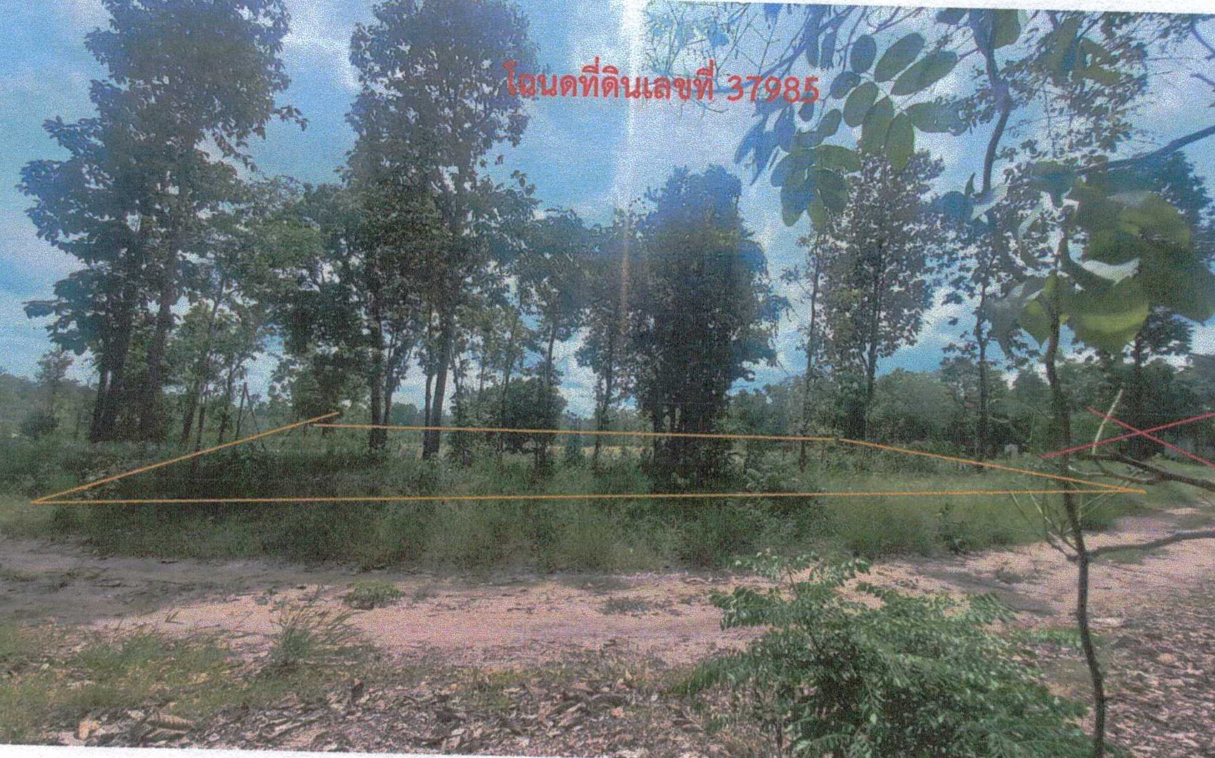 รูปที่ดินว่างเปล่า โนนแดง บ้านเขว้า ชัยภูมิ