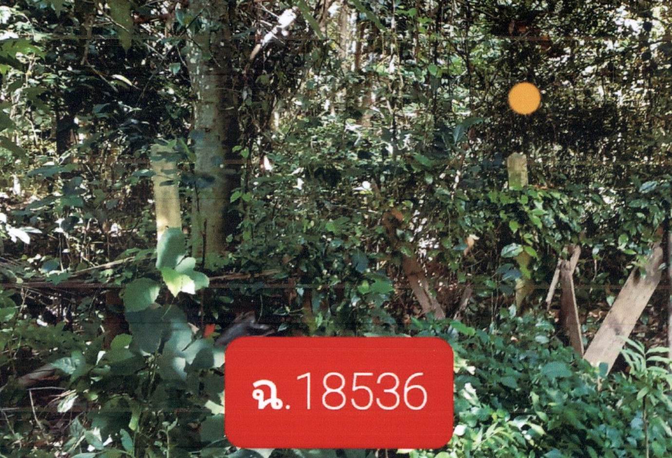รูปที่ดินว่างเปล่า เวียงทอง สูงเม่น แพร่