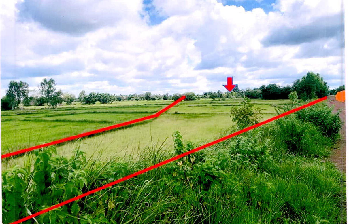 รูปที่ดินว่างเปล่า หนองแวง กันทรารมย์ ศรีสะเกษ