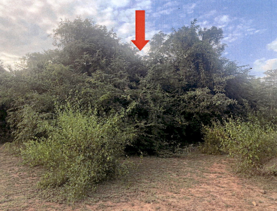 รูปที่ดินว่างเปล่า นาแก้ว เกาะคา ลำปาง