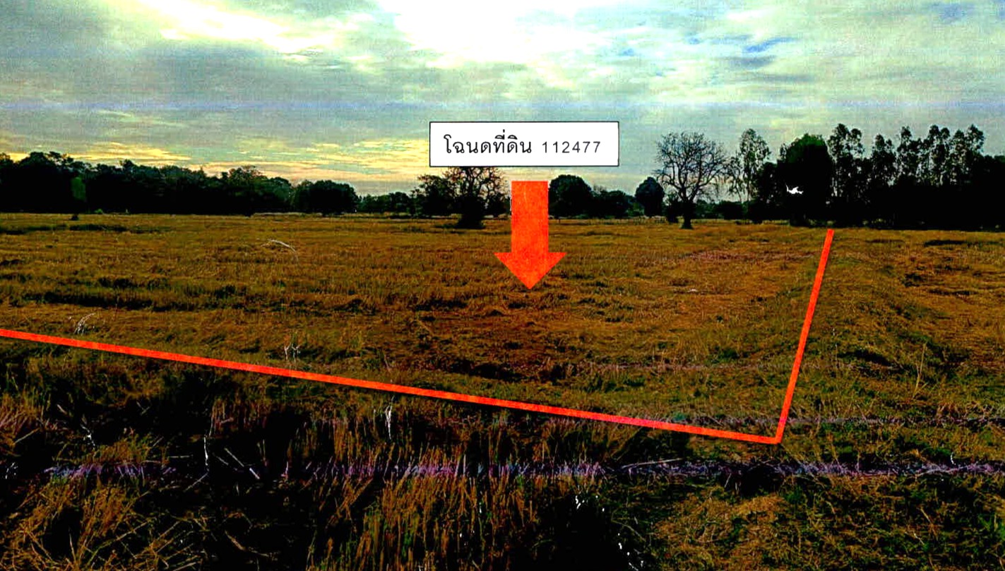 รูปที่ดินว่างเปล่า นาดี เมืองสุรินทร์ สุรินทร์