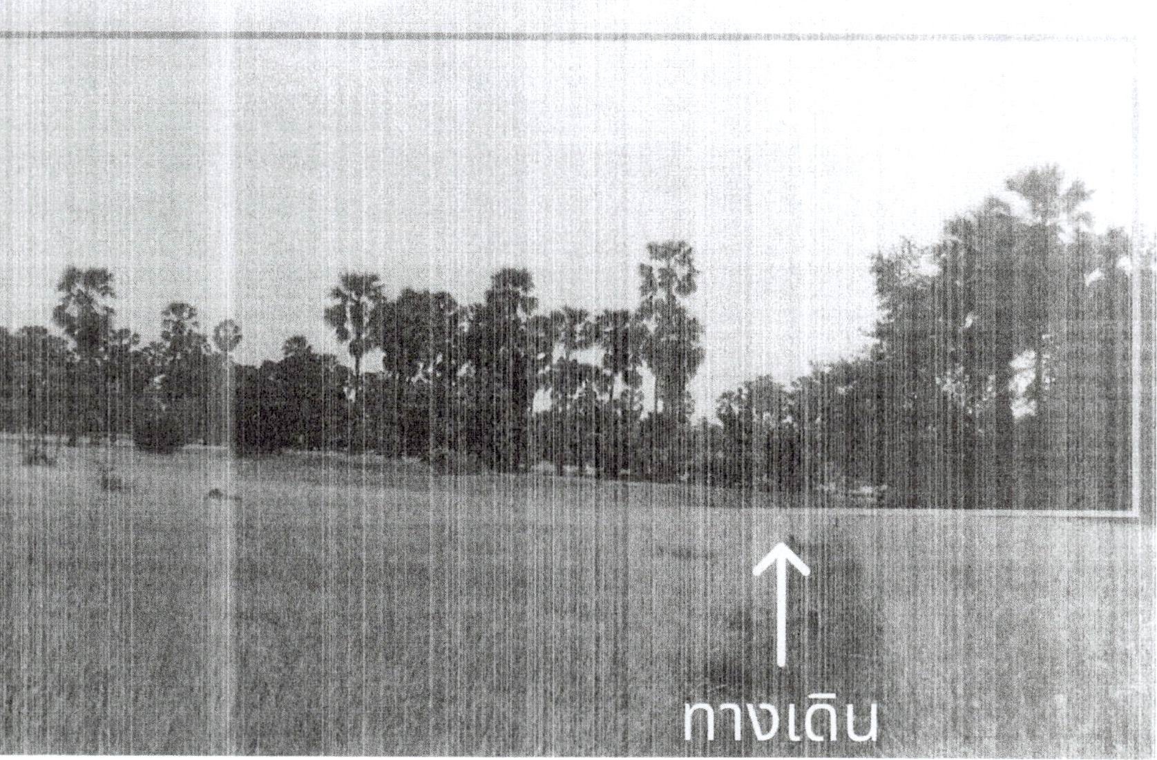 รูปที่ดินว่างเปล่า ท่าช้าง บ้านลาด เพชรบุรี