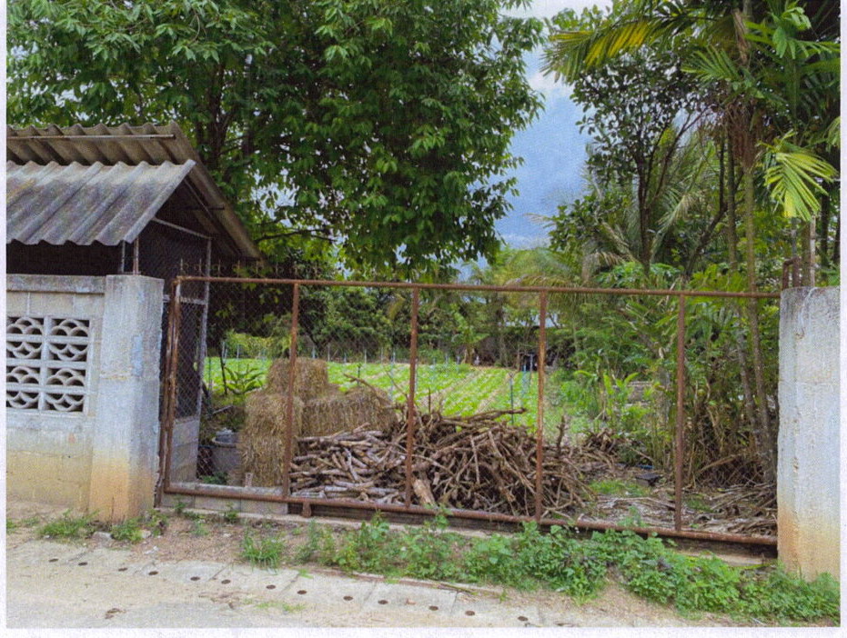 รูปที่ดินพร้อมสิ่งปลูกสร้าง เจดีย์หลวง แม่สรวย เชียงราย