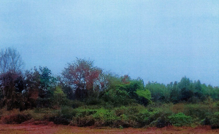 รูปที่ดินว่างเปล่า ฟ้าหยาด มหาชนะชัย ยโสธร