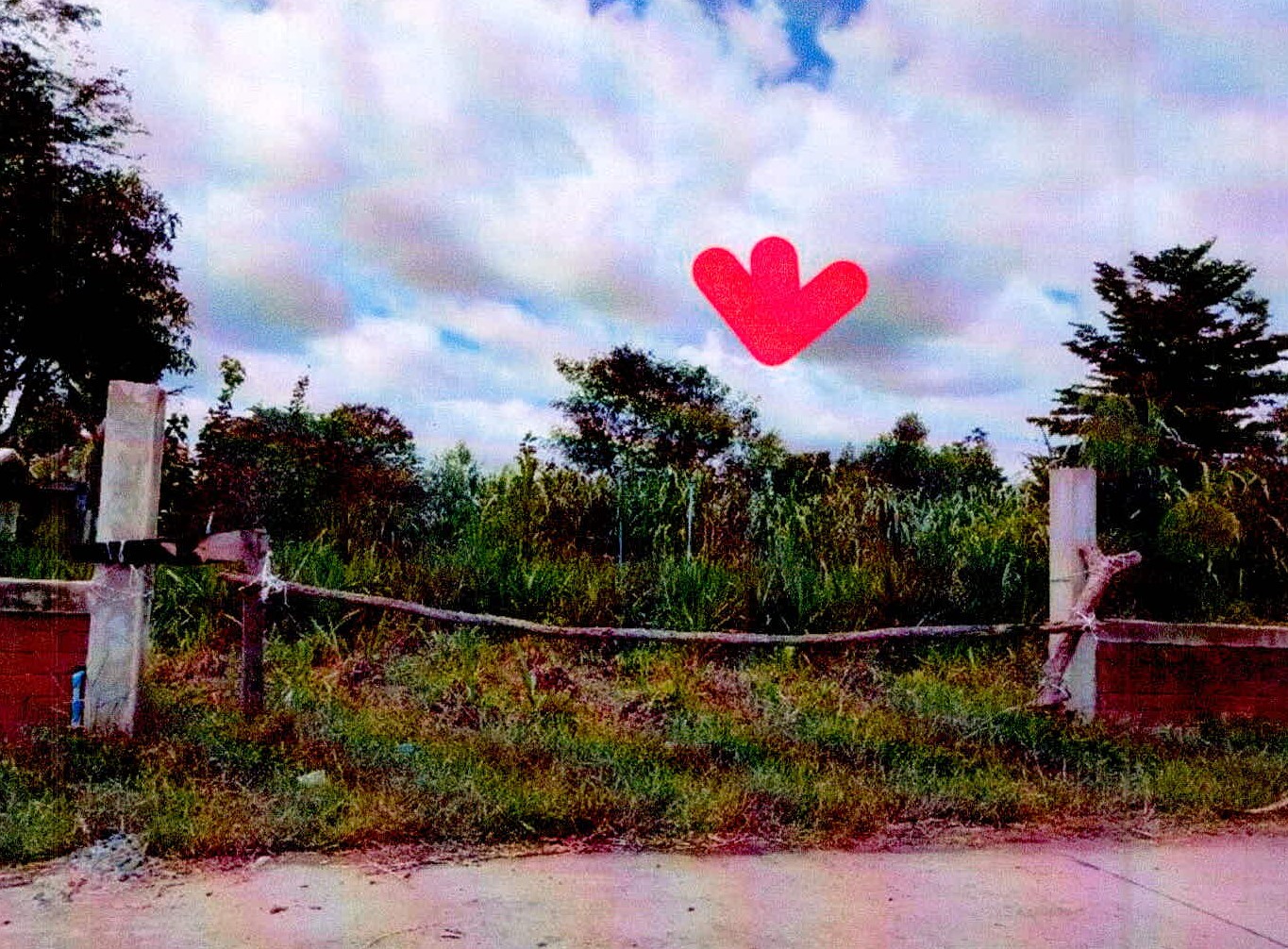 รูปที่ดินว่างเปล่า โคกจาน อุทุมพรพิสัย ศรีสะเกษ