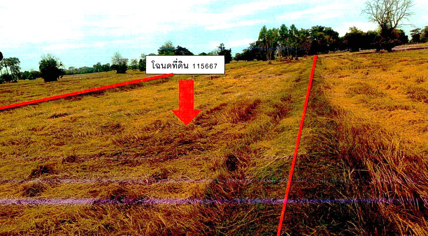 รูปที่ดินว่างเปล่า นาดี เมืองสุรินทร์ สุรินทร์