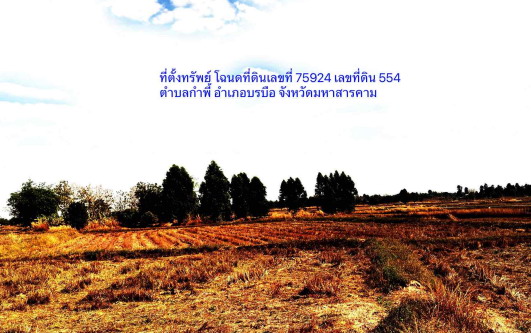 รูปที่ดินว่างเปล่า กำพี้ บรบือ มหาสารคาม