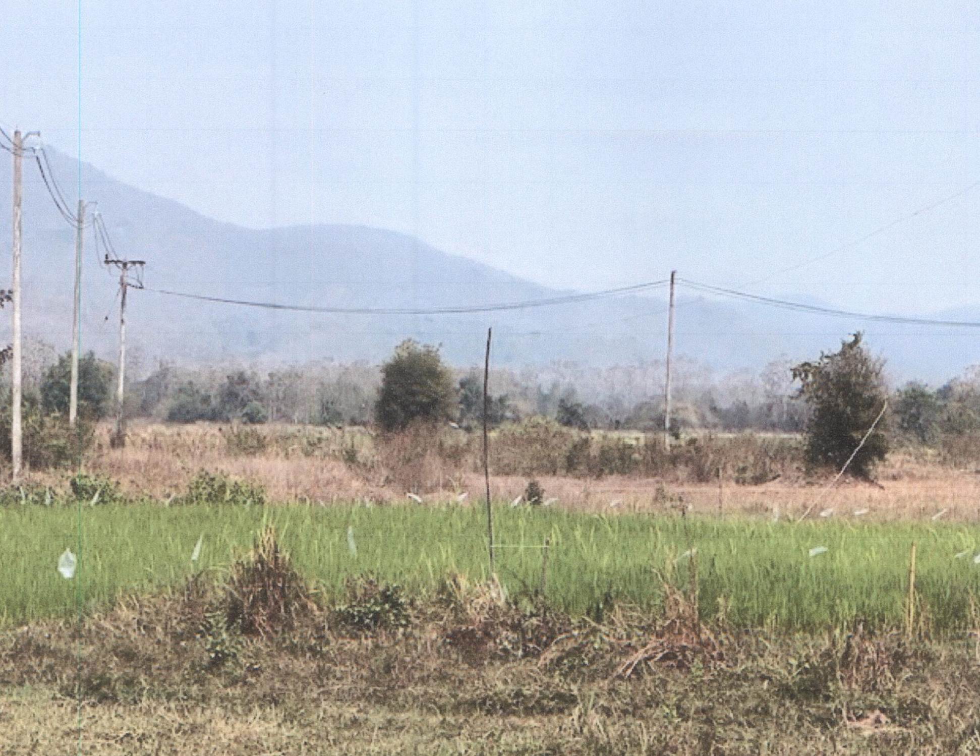 รูปที่ดินว่างเปล่า ไทรย้อย เด่นชัย แพร่