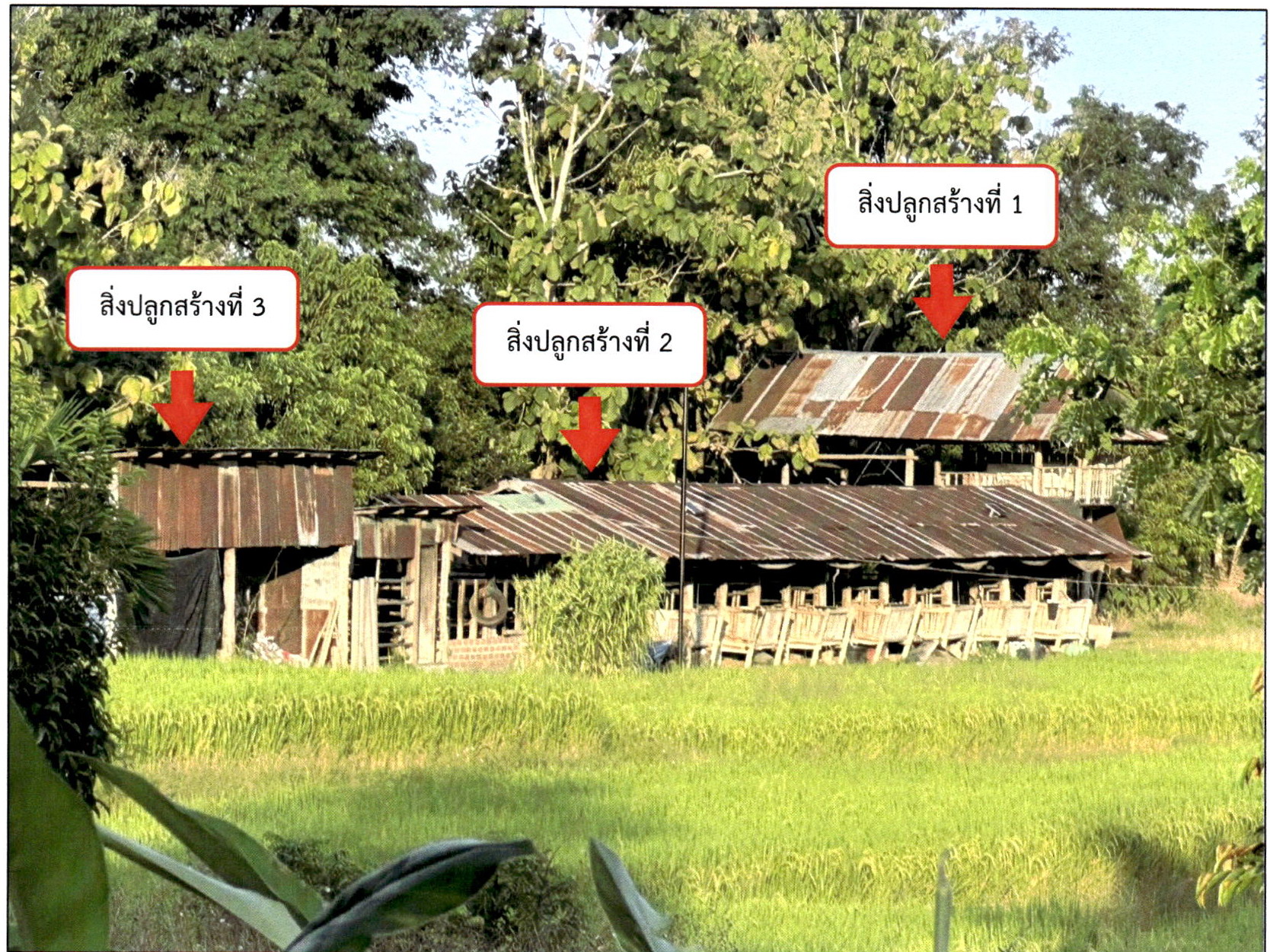 รูปที่ดินพร้อมสิ่งปลูกสร้าง จอมหมอกแก้ว แม่ลาว เชียงราย