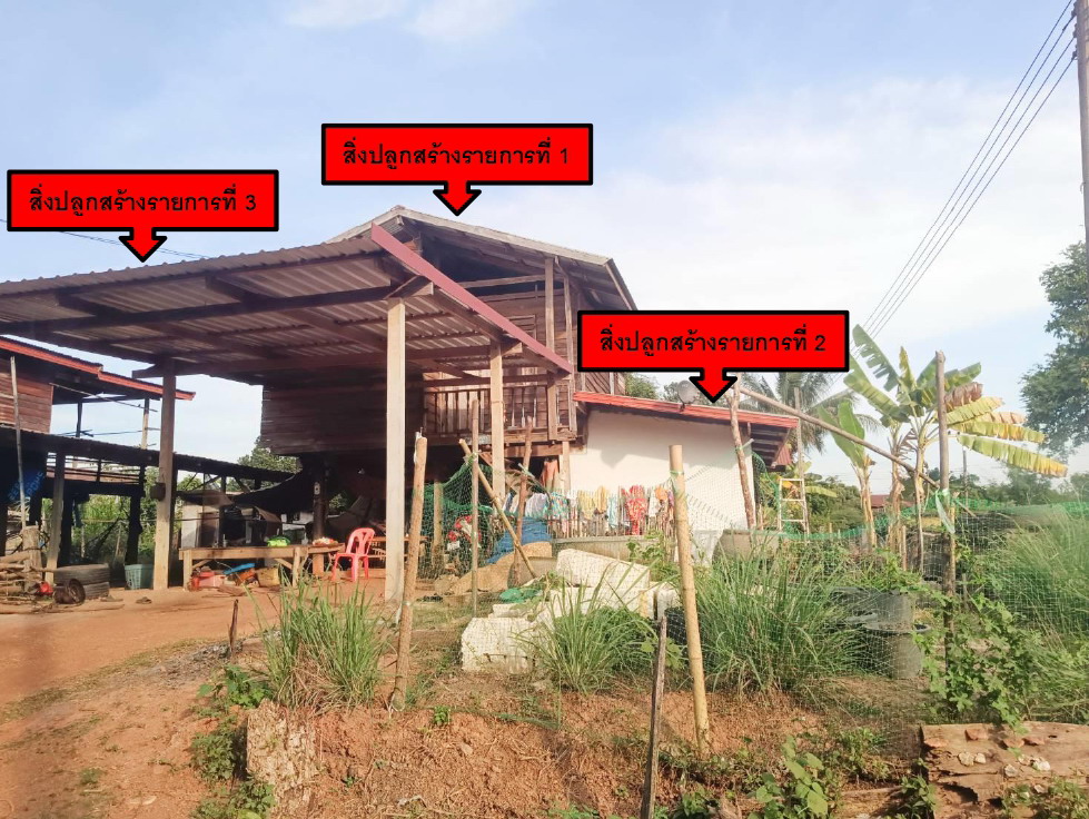 รูปที่ดินพร้อมสิ่งปลูกสร้าง โพนงาม อากาศอำนวย สกลนคร
