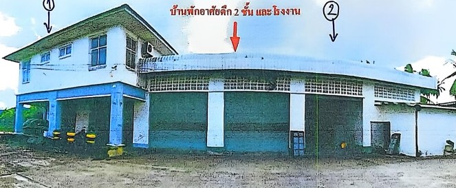 รูปที่ดินพร้อมสิ่งปลูกสร้าง พะเนา เมืองนครราชสีมา นครราชสีมา