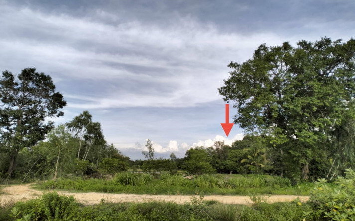 รูปที่ดินว่างเปล่า ปะอาว เมืองอุบลราชธานี อุบลราชธานี