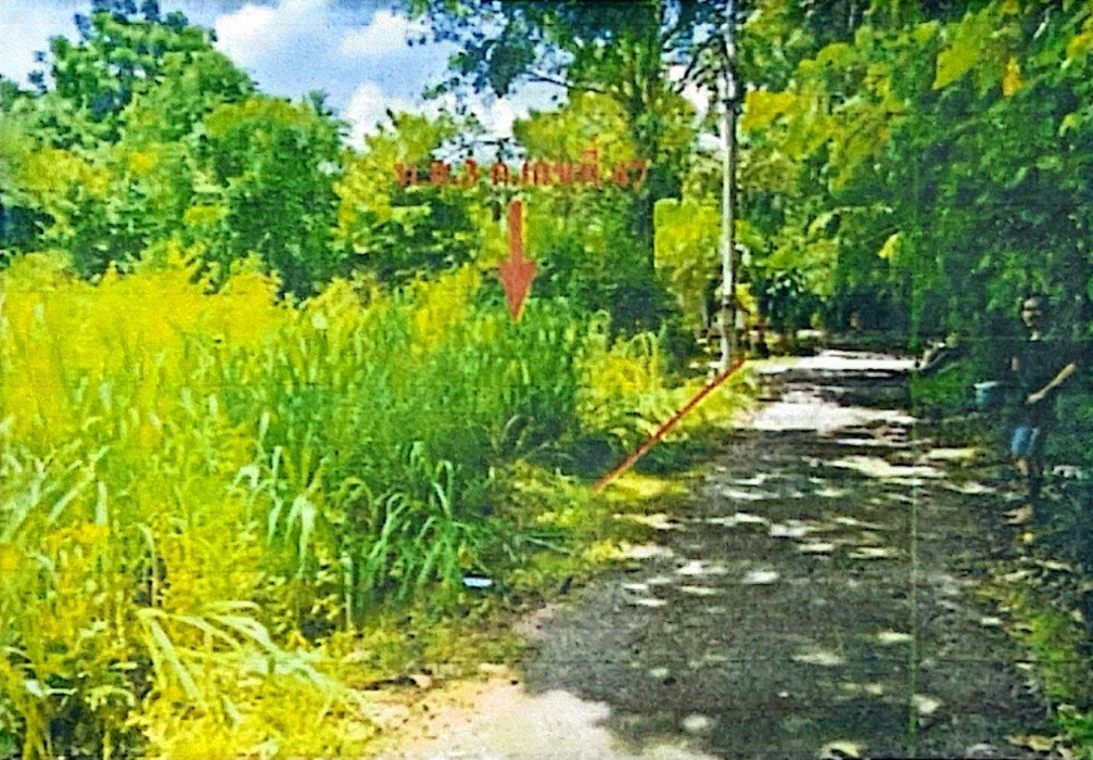 รูปที่ดินว่างเปล่า พะเนา เมืองนครราชสีมา นครราชสีมา