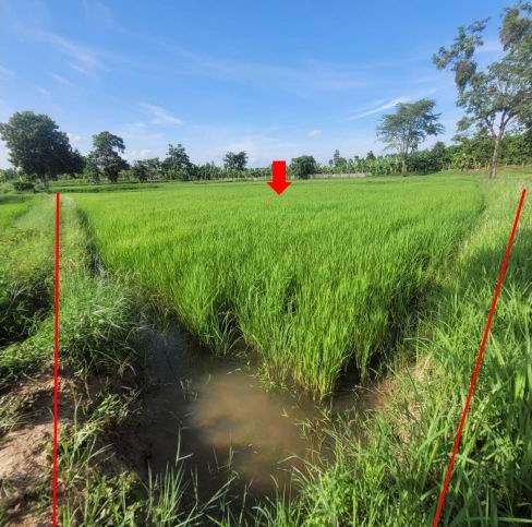 รูปที่ดินว่างเปล่า ดอนจาน ดอนจาน กาฬสินธุ์