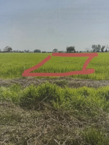 รูปที่ดินว่างเปล่า ท่าทอง เมืองพิษณุโลก พิษณุโลก