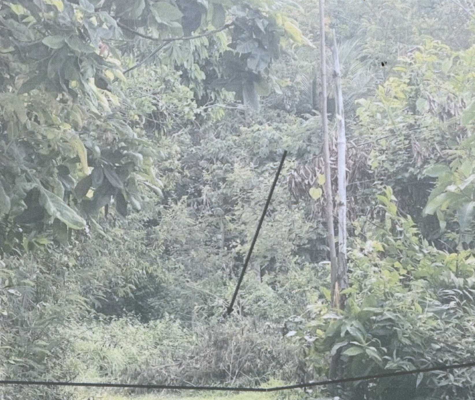 รูปที่ดินว่างเปล่า กุดแห่ เลิงนกทา ยโสธร
