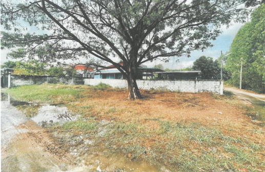 รูปที่ดินว่างเปล่า เชียงยืน เชียงยืน มหาสารคาม
