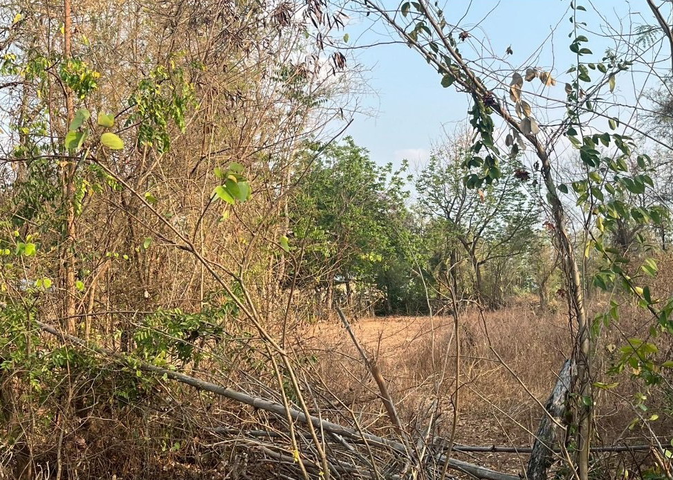 รูปที่ดินว่างเปล่า โนนฆ้อง บ้านฝาง ขอนแก่น