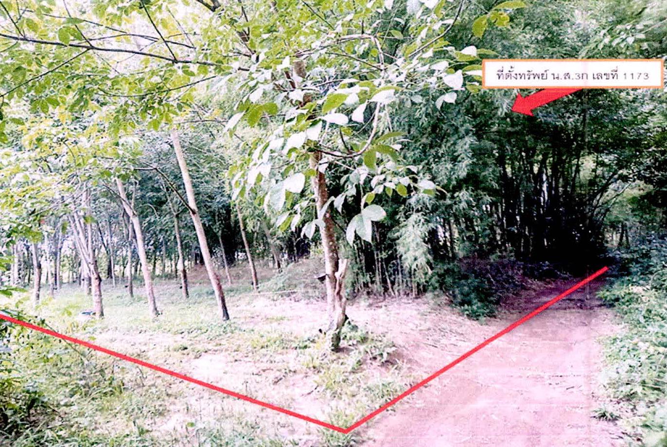 รูปที่ดินว่างเปล่า น้ำเกลี้ยง กันทรารมย์ ศรีสะเกษ