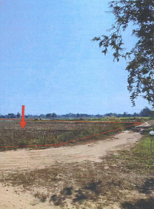 รูปที่ดินว่างเปล่า เจริญเมือง พาน เชียงราย