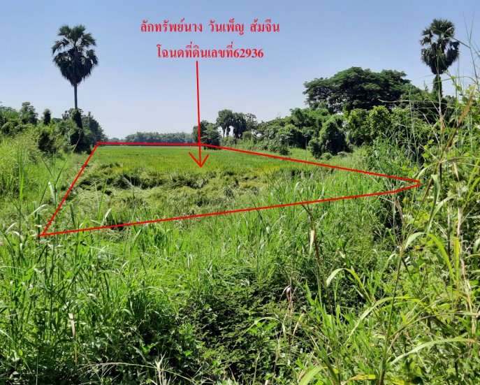 รูปที่ดินว่างเปล่า ปากโทก เมืองพิษณุโลก พิษณุโลก