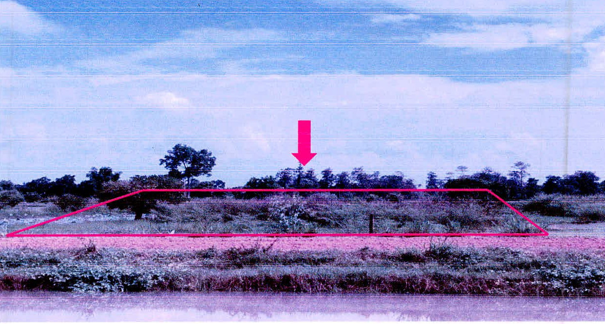 รูปที่ดินว่างเปล่า กุดเมืองฮาม ยางชุมน้อย ศรีสะเกษ