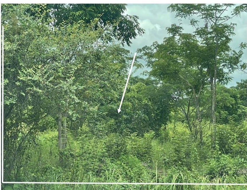 รูปที่ดินว่างเปล่า ห้วยสัก เมืองเชียงราย เชียงราย