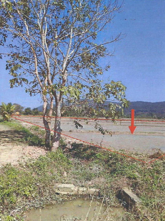 รูปที่ดินว่างเปล่า เจริญเมือง พาน เชียงราย