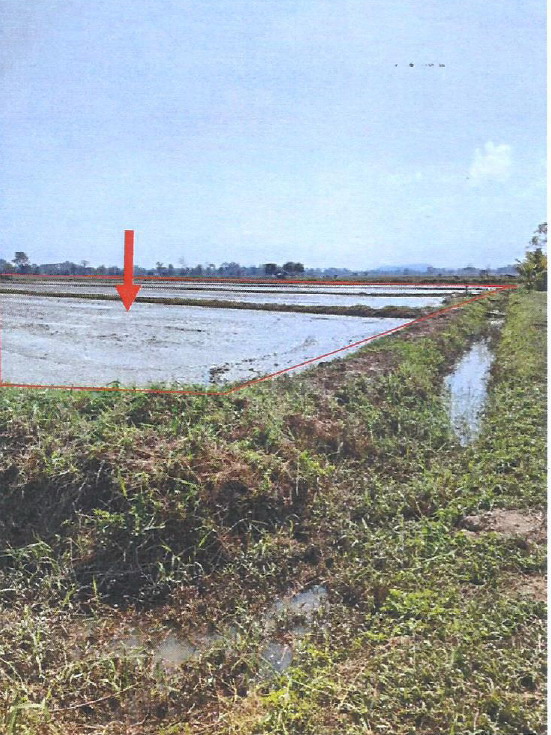 รูปที่ดินว่างเปล่า เจริญเมือง พาน เชียงราย