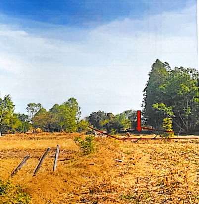 รูปที่ดินว่างเปล่า หนองผือ เมืองสรวง ร้อยเอ็ด