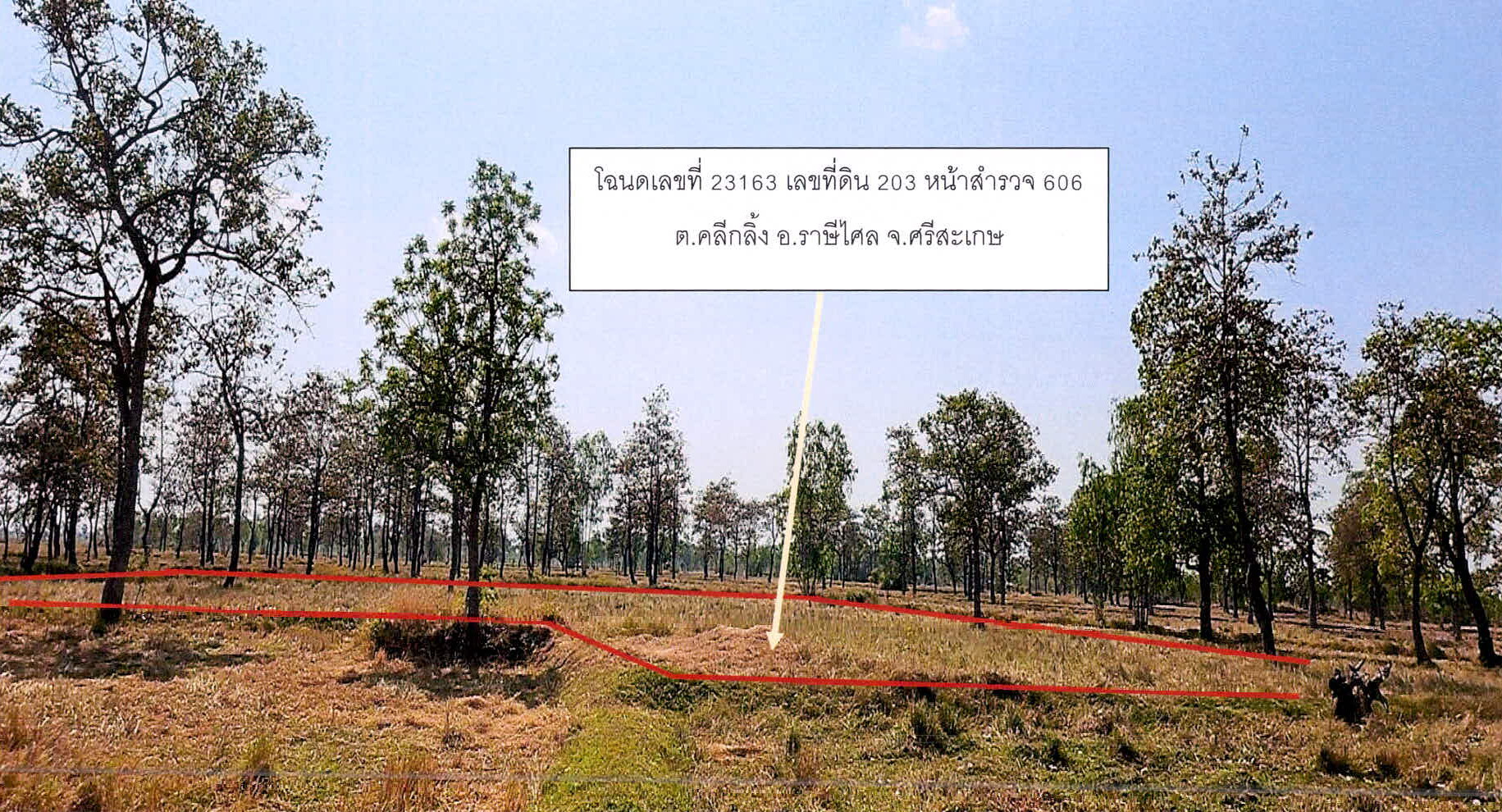 รูปที่ดินว่างเปล่า คลีกลิ้ง ราษีไศล ศรีสะเกษ