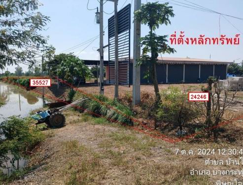รูปที่ดินพร้อมสิ่งปลูกสร้าง บ้านไร่ บางกระทุ่ม พิษณุโลก