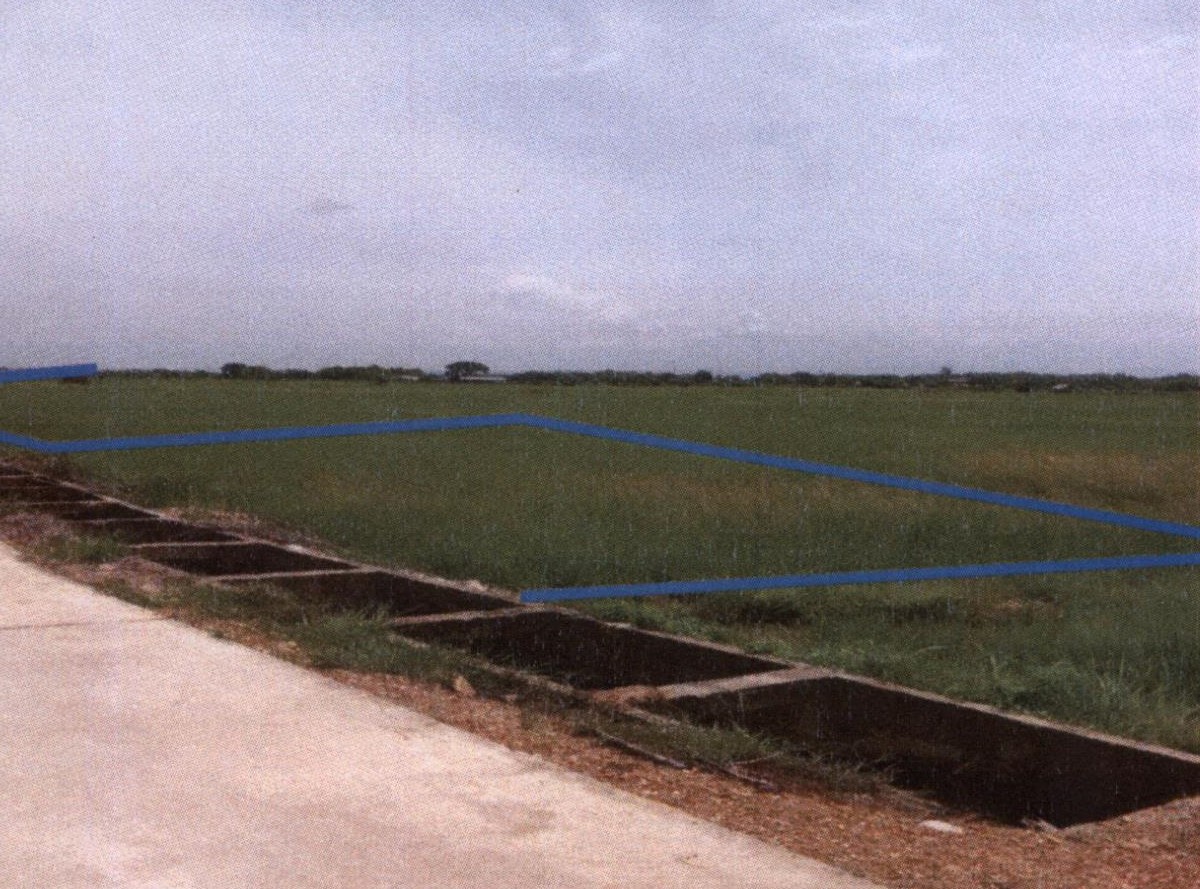 รูปที่ดินว่างเปล่า วังหงษ์ เมืองแพร่ แพร่
