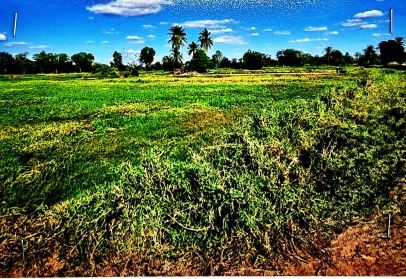 รูปที่ดินว่างเปล่า กุดเค้า มัญจาคีรี ขอนแก่น