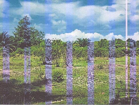 รูปที่ดินว่างเปล่า ทรายขาว คลองท่อม กระบี่