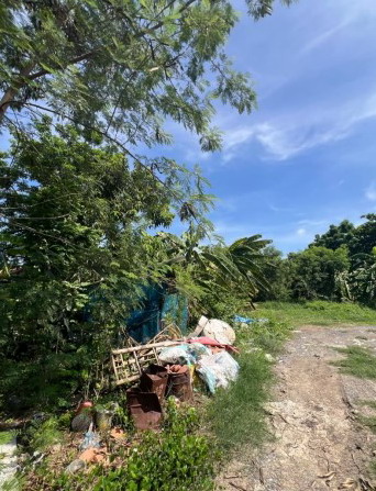 รูปที่ดินว่างเปล่า ลำผักชี หนองจอก กรุงเทพมหานคร