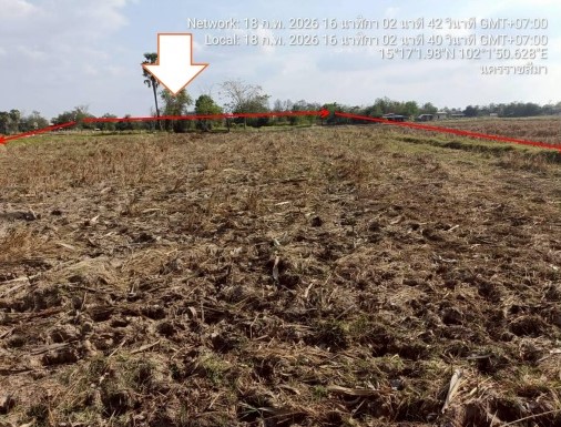 รูปที่ดินว่างเปล่า สายออ โนนไทย นครราชสีมา